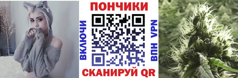 Бошки Шишки планчик  Купить закладки  Верещагино 